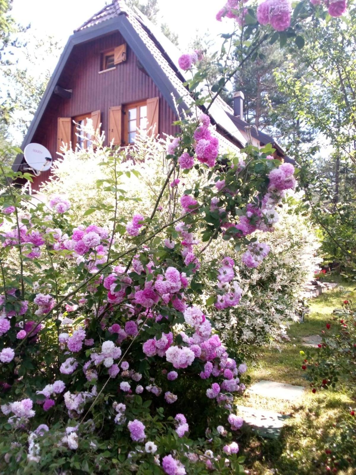 Plitvice Lakes Holiday Lodge Rudanovac Exterior foto